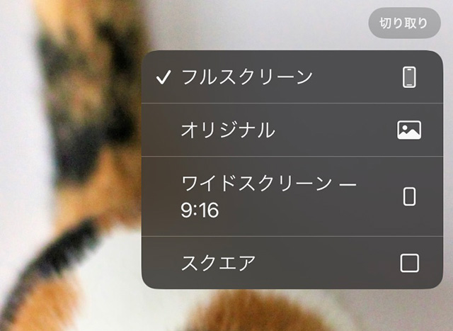 iPhone(iOS17)の写真アプリでピンチアウトから切り取りのアスペクト比選択
