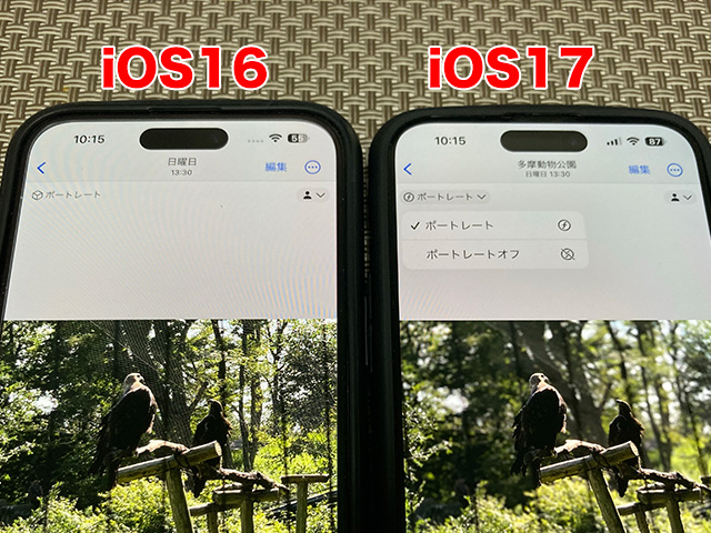 iOS16とiOS17のポートレート機能を比較