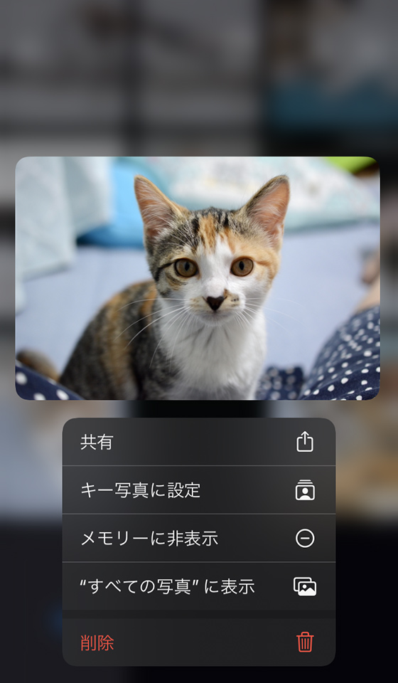 iPhone（iOS17）標準写真アプリのforyou（フォーユー）のメモリーの表紙を変更