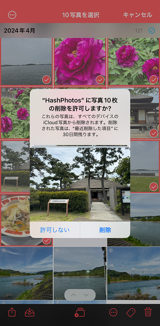 iPhoneアプリ「HashPhotos」でライブフォトをまとめて通常の写真(静止画)に変換する